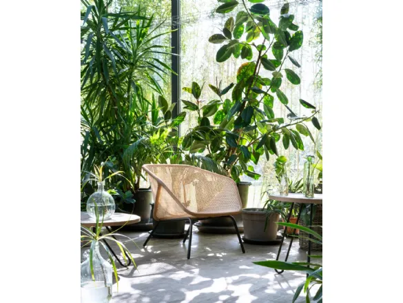 Colony Armchair